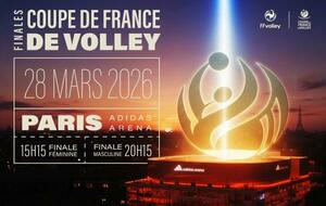 Volley coupe de france professionnelle