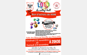 Lotos Volley Novembre 2024