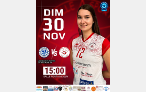 Match volley ball N3F