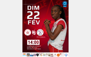 Match volley ball N3F