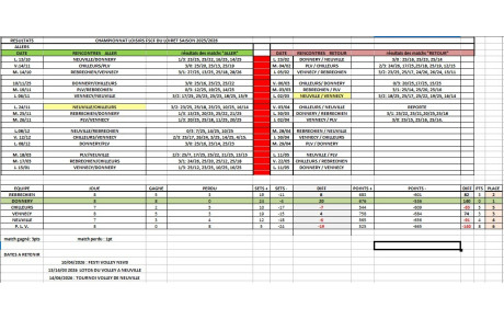 Match Volley-ball Loisir senior